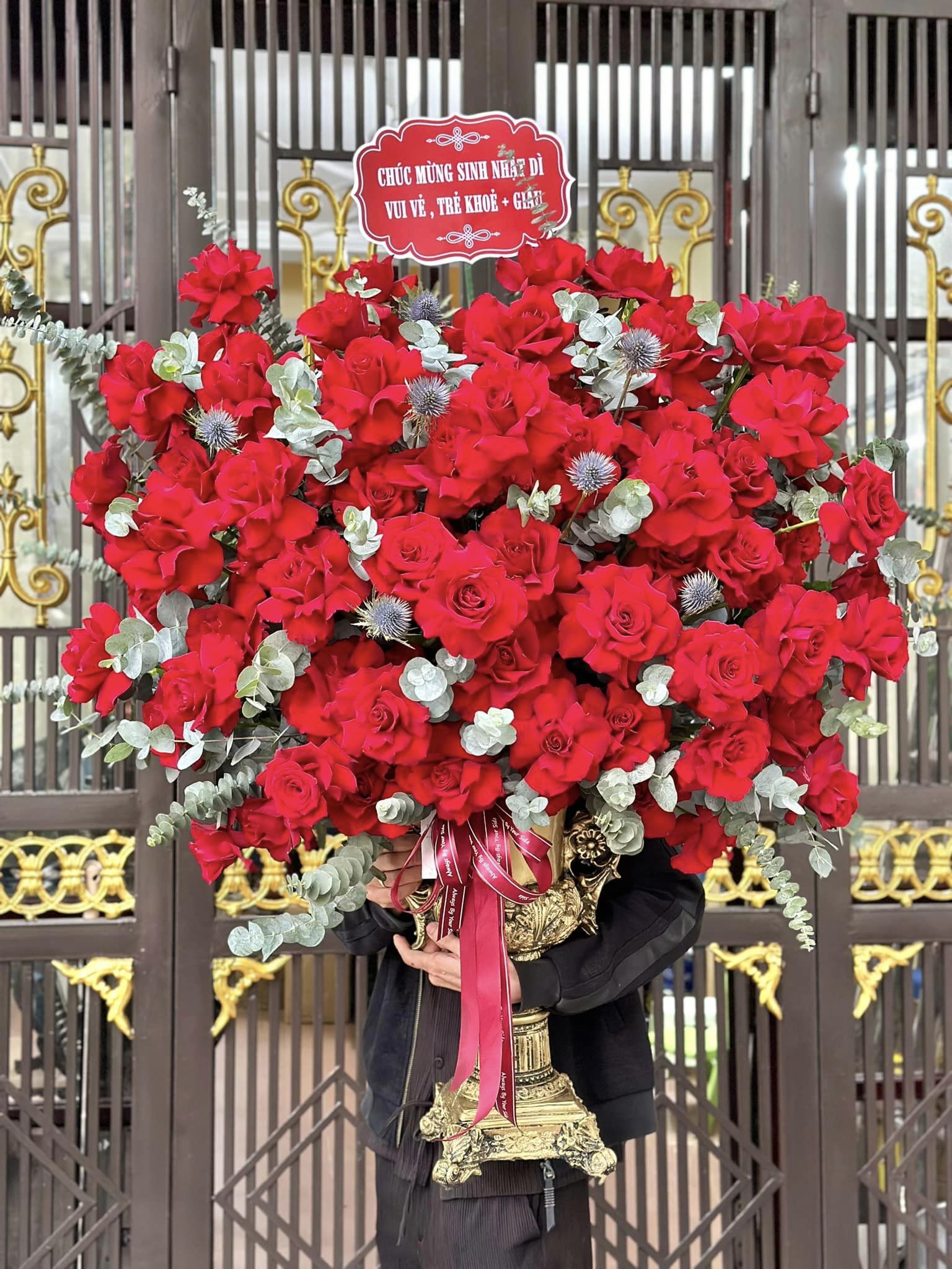 Hoa Bình